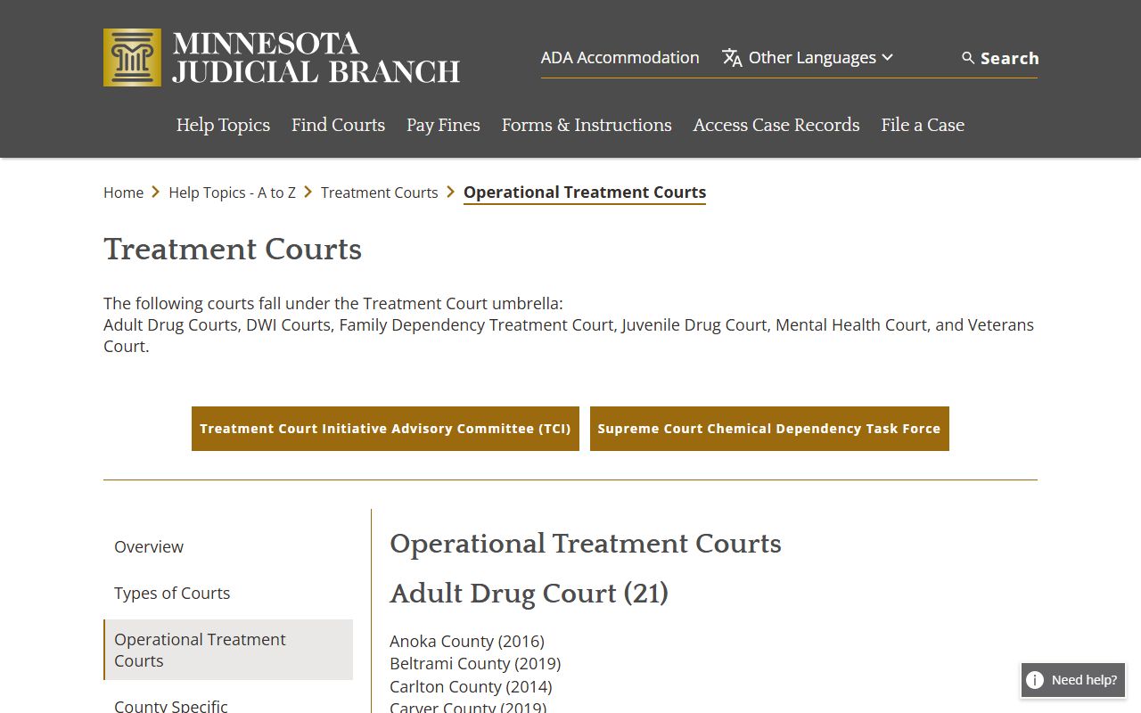 Lyon County District Court Minnesota operational treatment courts