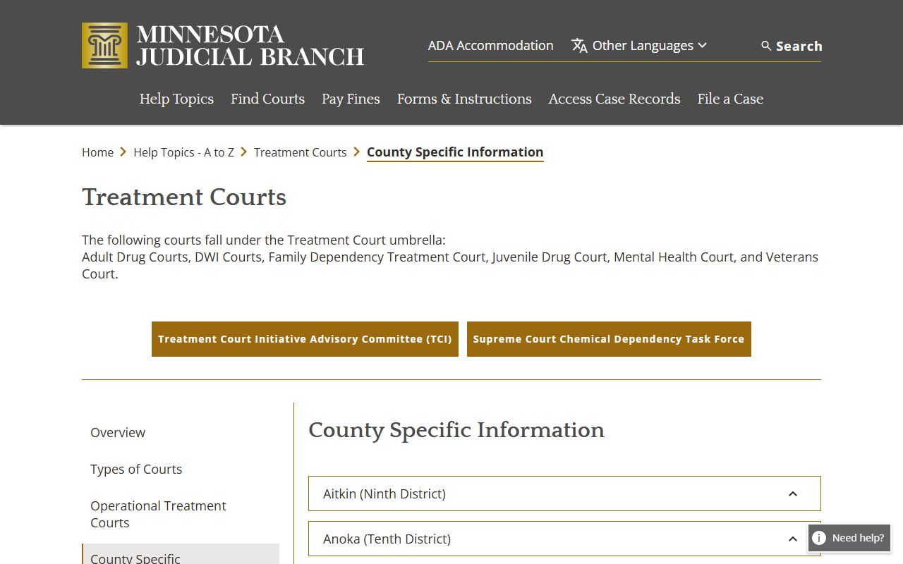 Lyon County District Court Fifth Judicial District treatment court information